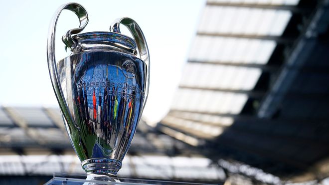 养与本土球 养与本土球